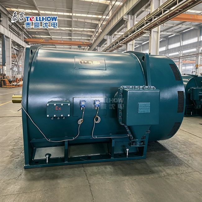 high voltage Ex p motor